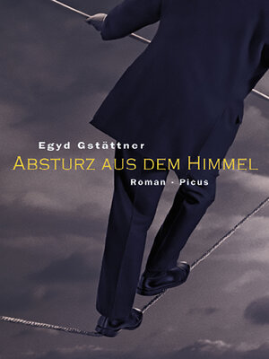 cover image of Absturz aus dem Himmel